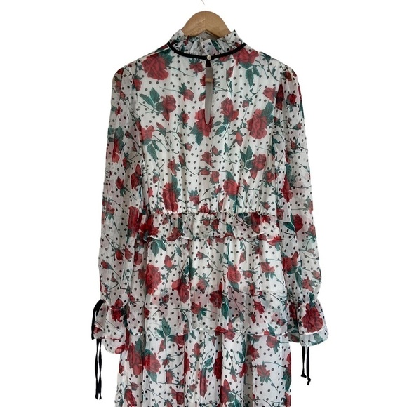 The Moon Chiffon Long Sleeve Tiered Maxi Dress - Picture 7 of 10